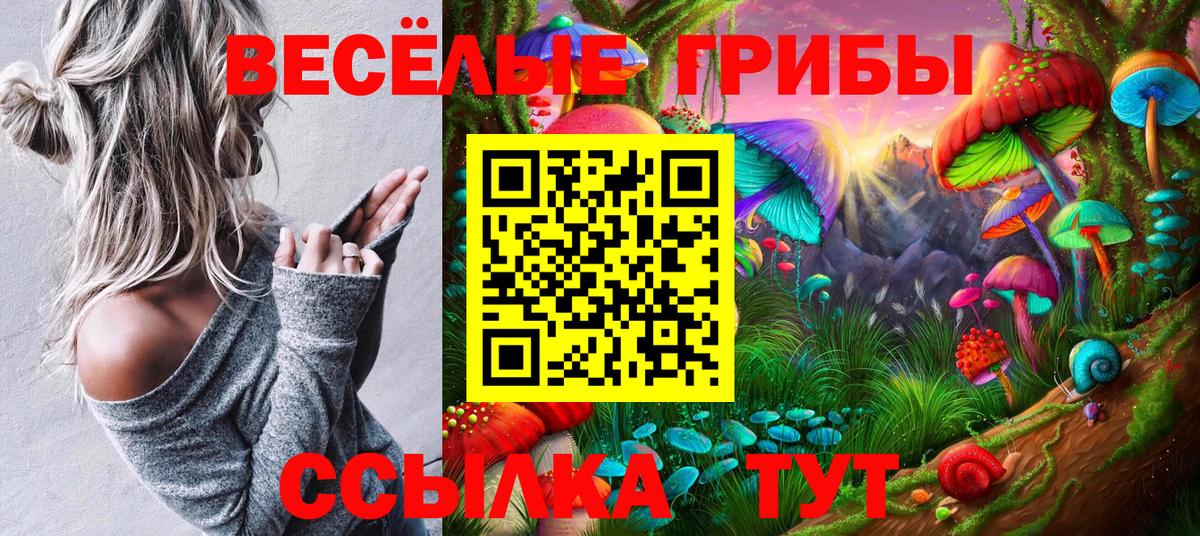 Псилоцибиновые грибы GOLDEN TEACHER Лосино-Петровский