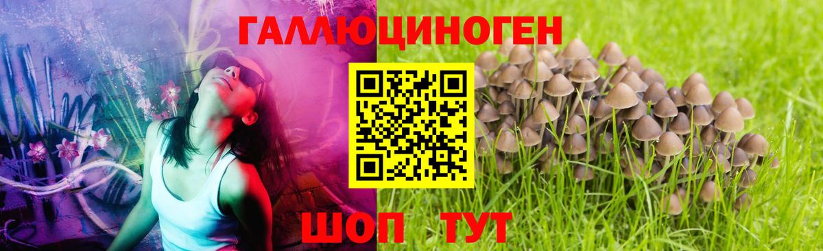 Лосино-Петровский  Псилоцибиновые грибы мицелий  Вход с VPN 